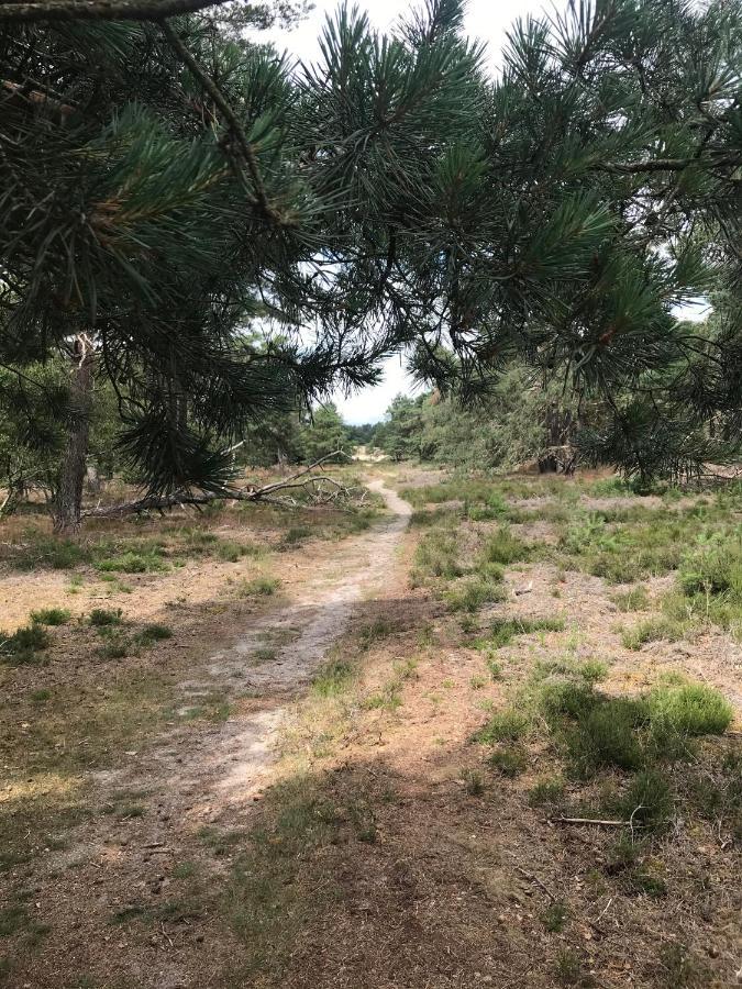 Boshuisje Veluwe Mels Place Doornspijk Exterior foto