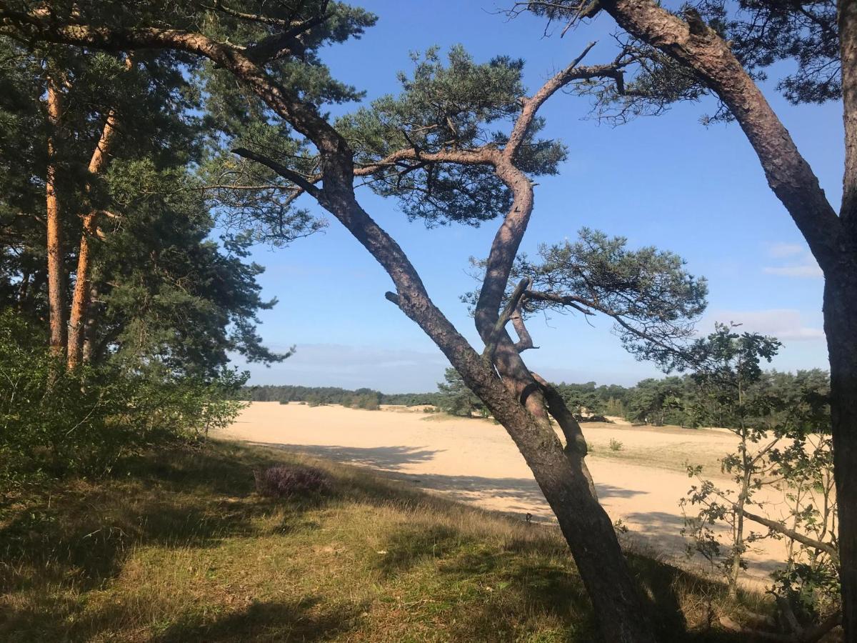 Boshuisje Veluwe Mels Place Doornspijk Exterior foto